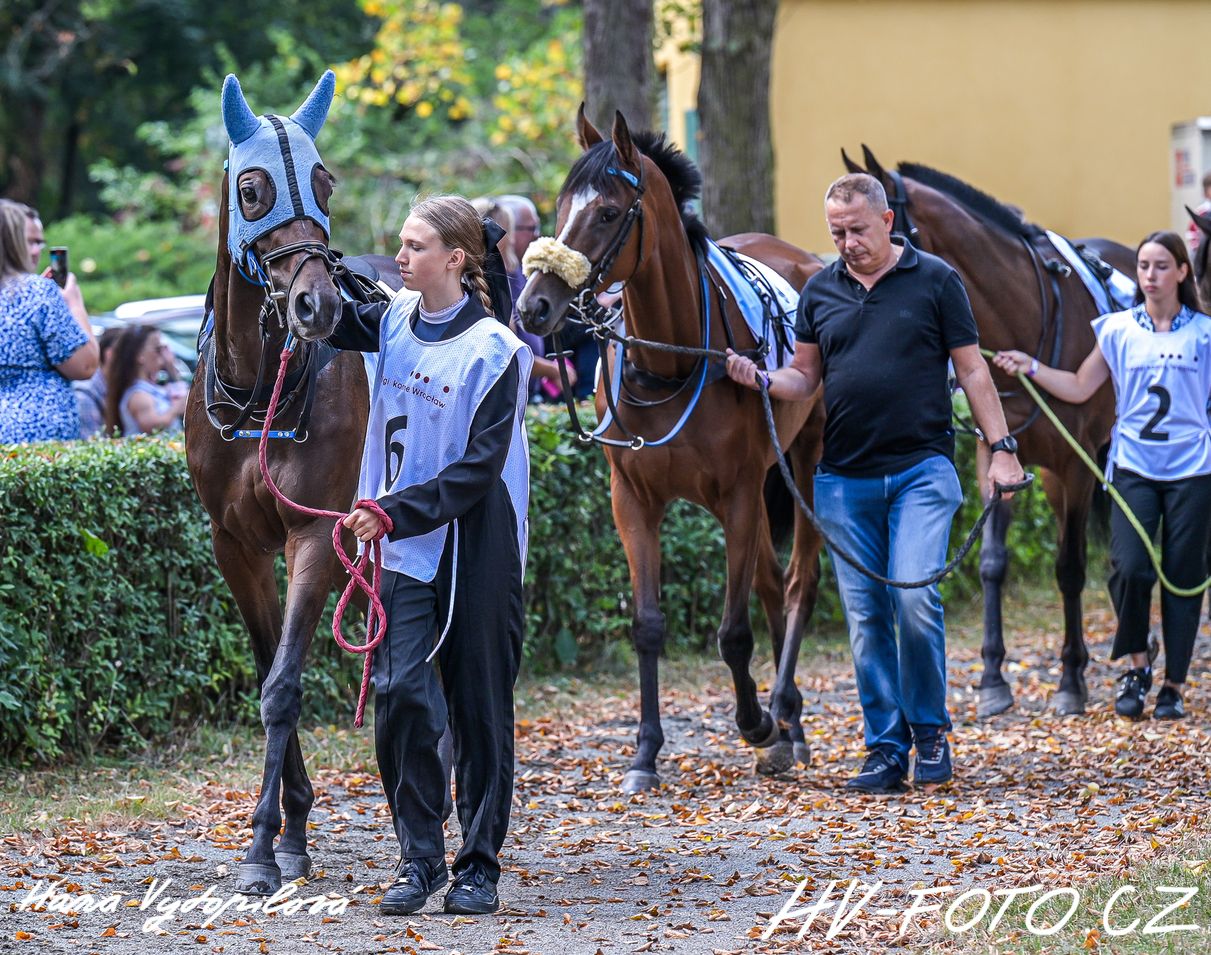 DSC_7170 kopie.jpg